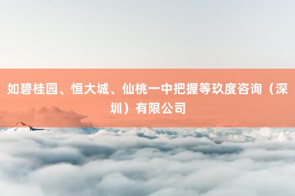 如碧桂园、恒大城、仙桃一中把握等玖度咨询（深圳）有限公司